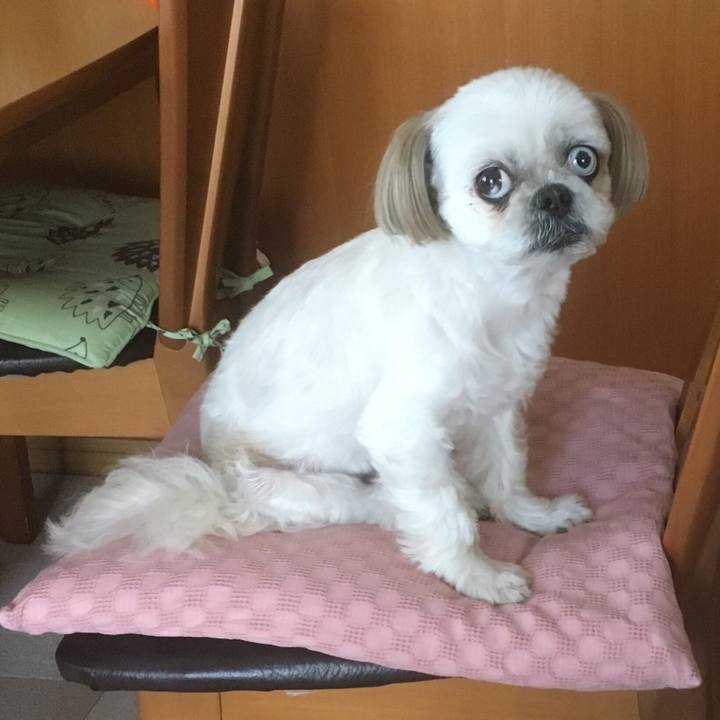 D7da83d3 48b9 4b23 9dd9 78db1ab89b33 1528168334171