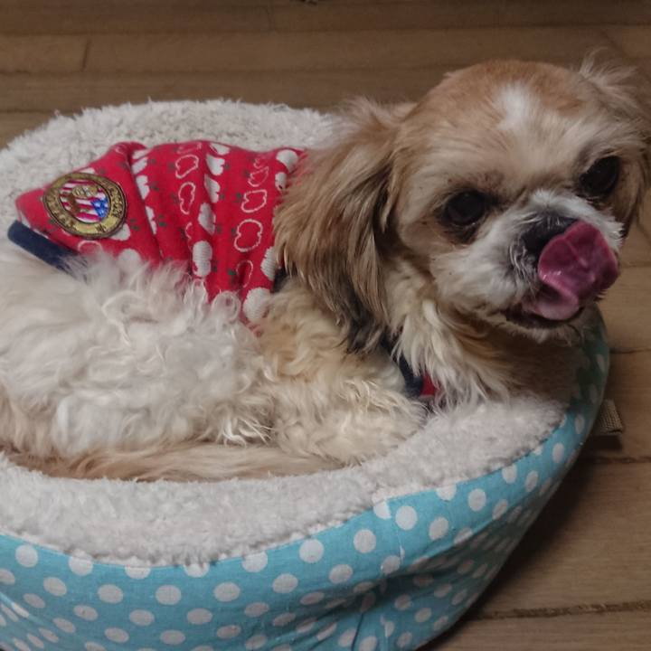 D7dab97e c2a2 448d bdc4 b3719a826edf 1515240378694