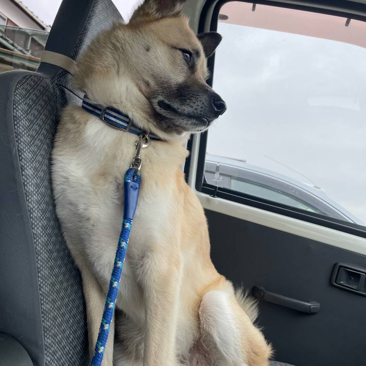 D7dad835 e230 4e8b 833c e7a0ee135717 1652615651248