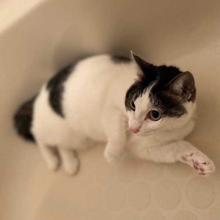 D7daf43a 4f02 4f49 830f 203aaccbec30 1701089144863