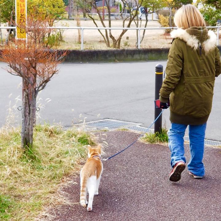 D7dafb0f 4a59 4522 8116 a2404a0f4822 1545657126871