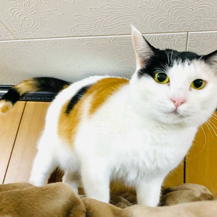 D7db0170 03fe 43a1 8e28 3ab8b59714c7 1678370341614