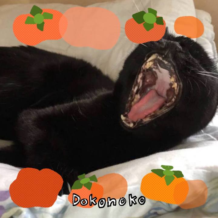 D7db1ad5 2bed 407b 8142 b9e65b444184 1761372407744