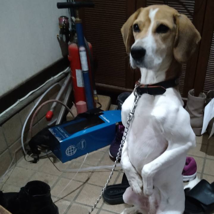 D7db33e9 5d58 4c0c b997 99bf89e5dbc7 1639660514355