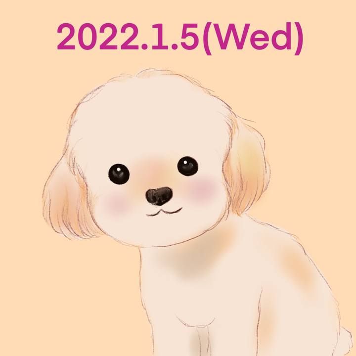 D7db3bef 01dd 459e b5b8 a82d2f852251 1641389577219