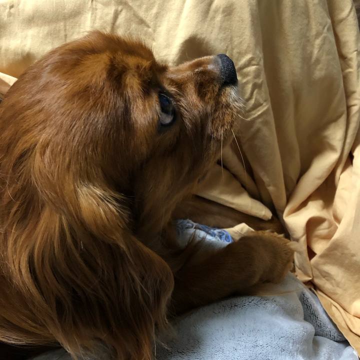 D7db6227 a4ef 4c18 8a28 e145774b33f9 1578522459999