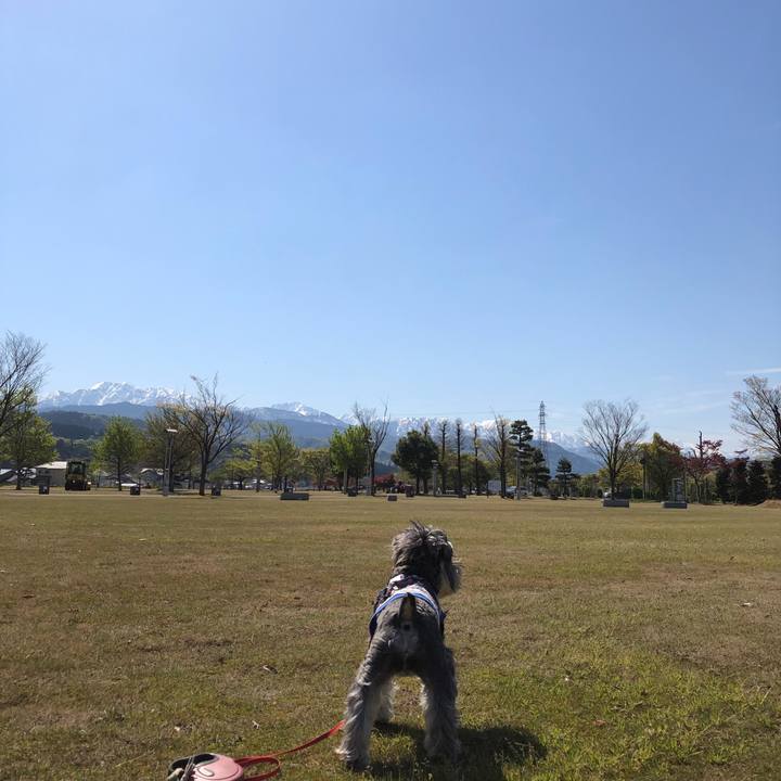 D7dbb48a 0702 4651 baad 2dbff8540a04 1619052904072