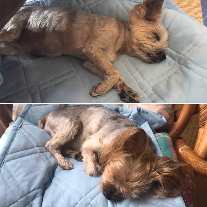 D7dbd3cd 2148 4f14 b2e2 0eae752d0c9e 1592385465628