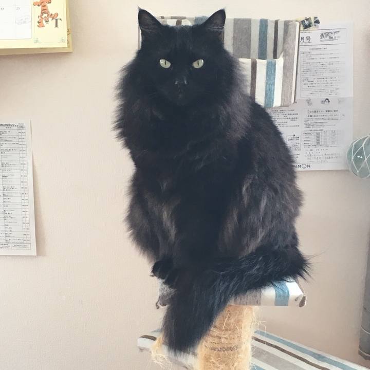 D7dbf09c 0fe4 457c b35c d9b17292c51a 1550995149816