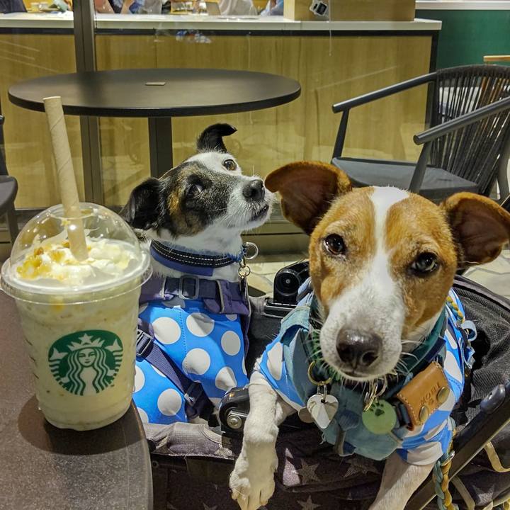 D7dc65f9 22e6 4e84 a883 6187d4e69dd3 1696076173754