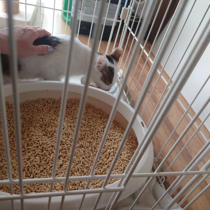 D7dc9d8b 584a 4513 8347 2596e4ac1e19 1688706437611