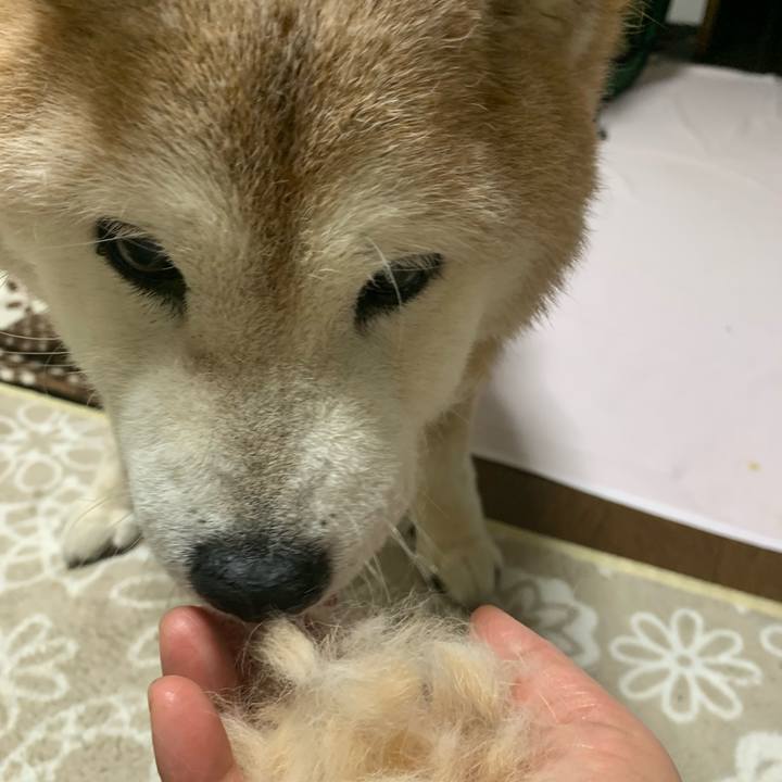 D7dcab59 826b 49cb bc31 e9dea9ff98fe 1684678096431