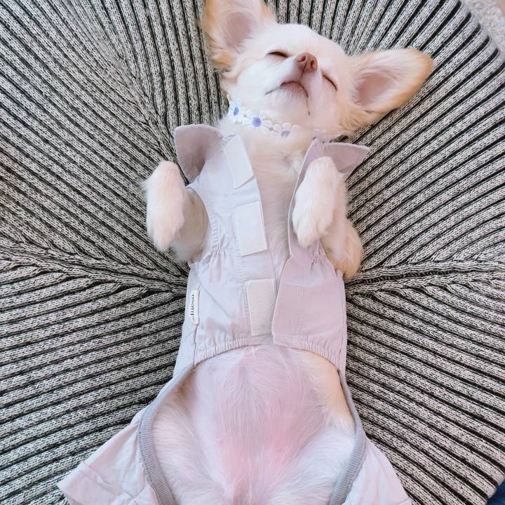 D7dcc141 7d26 40b0 be41 83f50987cec6 1688987764475