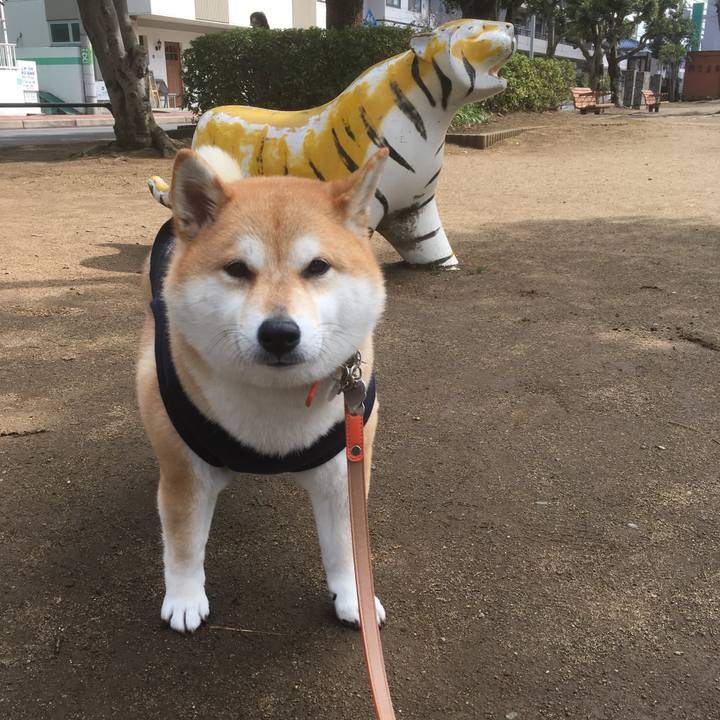 D7dcdc6b 89c1 4774 adc7 568b48261cac 1551413626058