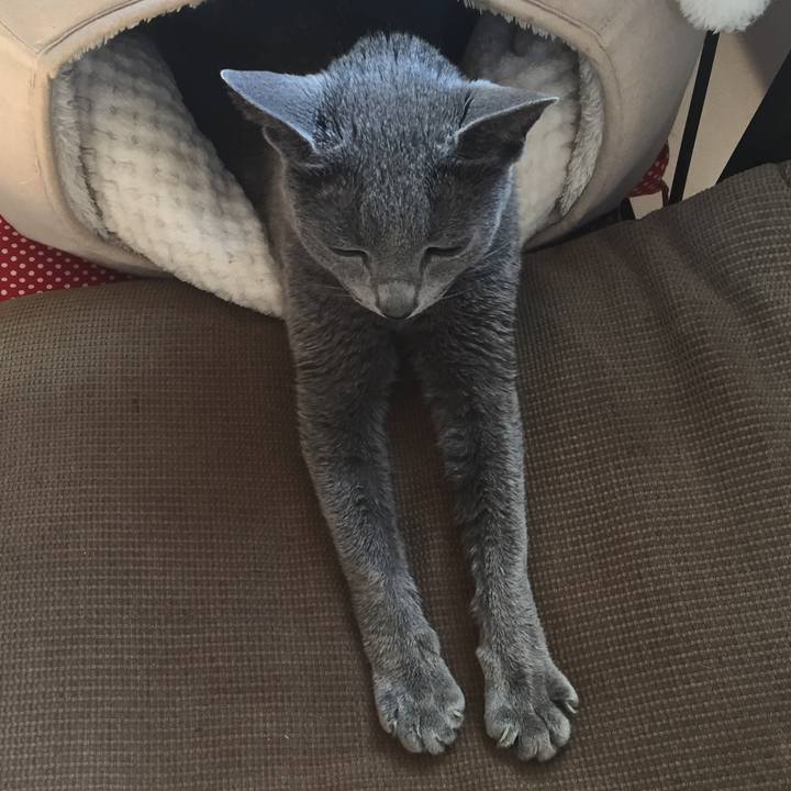 D7dced8f 92fb 4a7d 9da8 10d73d3926be 1522020296907