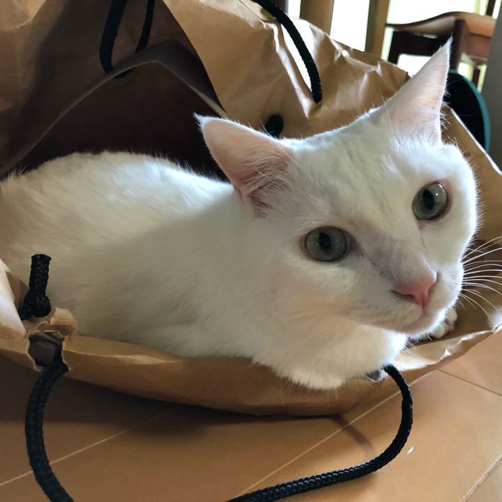 D7dd0959 24a1 4d19 945f c2ee5bed57c1 1593265848387