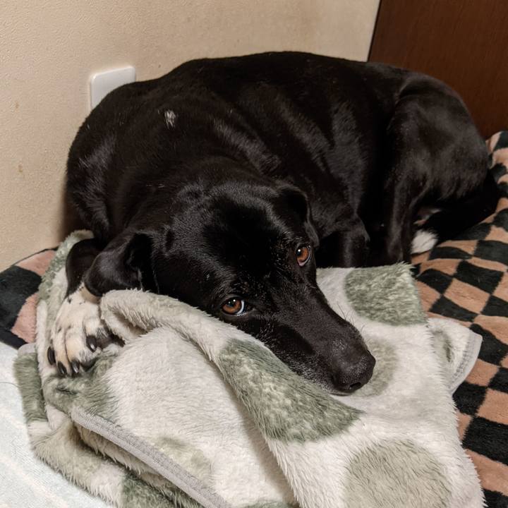 D7dd26ed 896d 4c23 947e 9dc5604d12ef 1708560809571