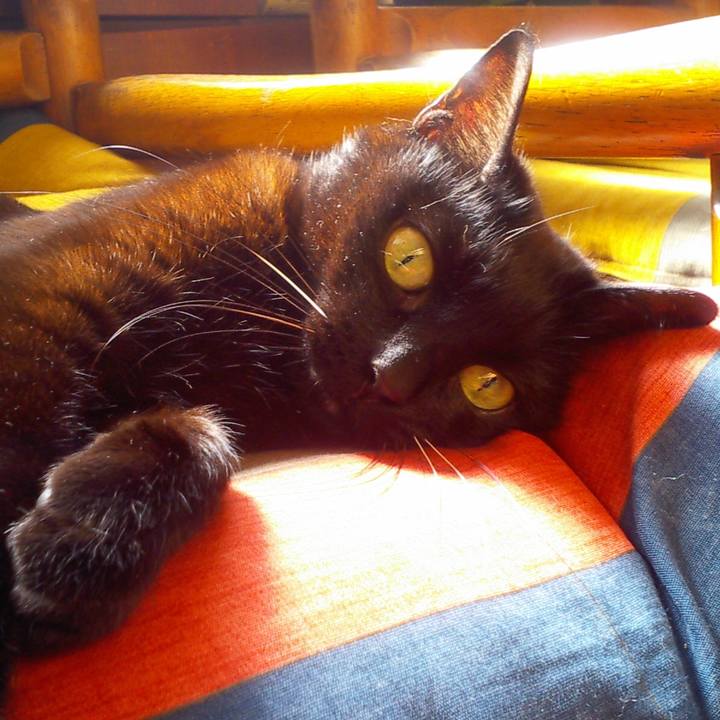 D7dd36d9 d363 4f98 a724 0fa3bdcf64db 1509886364461