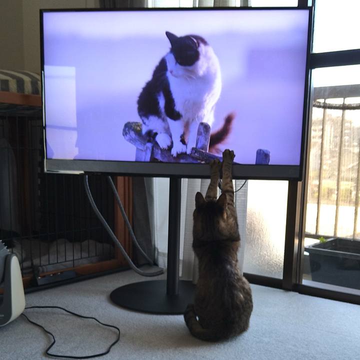 D7dd4403 b840 4856 abd9 d1230675a060 1636160297872