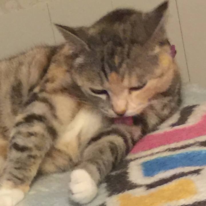 D7dd76cd f155 447a 8b58 8cac09ff4413 1561802616277