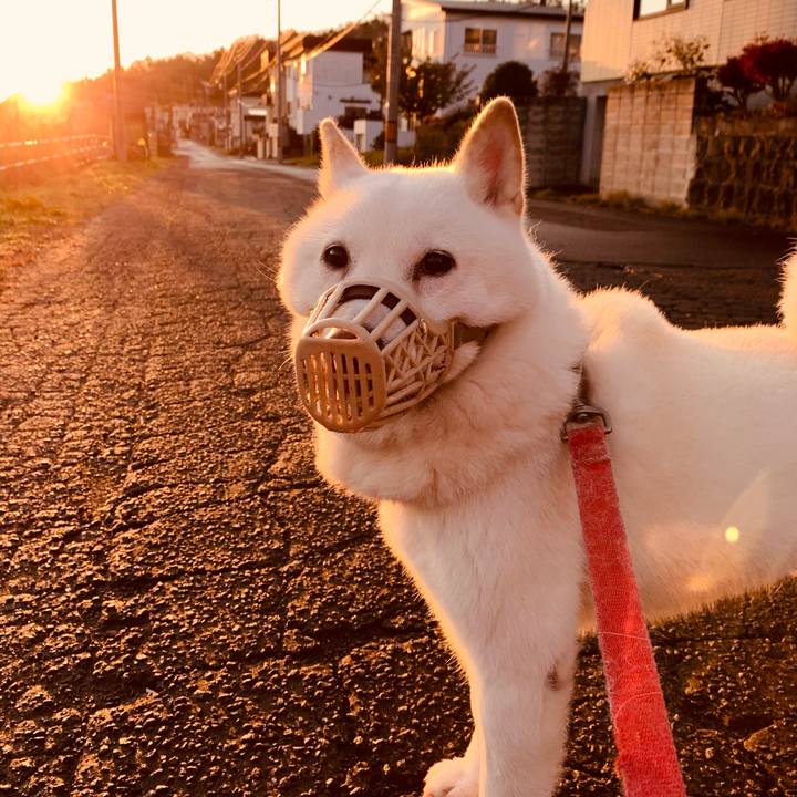 D7dd7c84 9817 4ebd 8e17 c0853a0f2a01 1604012071533