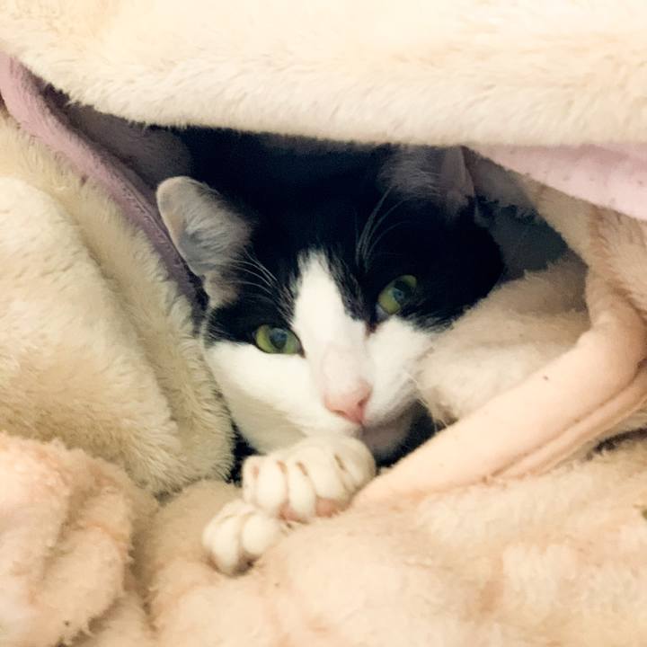 D7dd7e1b 0f44 4253 bc24 d81b439e2069 1585274176187