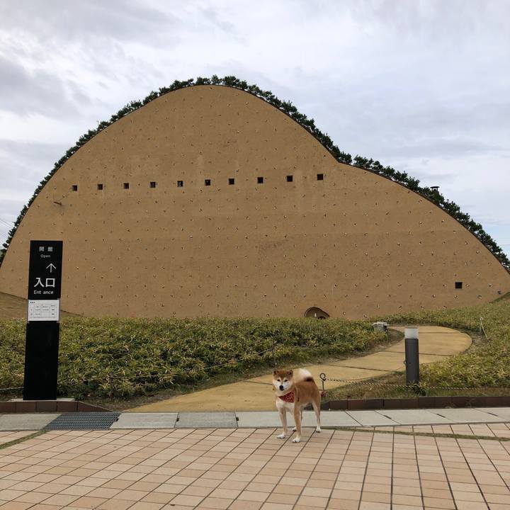 D7dd8170 6da2 4d99 847f 619f942db069 1542096046770