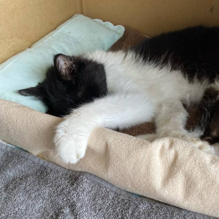 D7dd829a b422 4801 8fb3 8f63eb4fe355 1758586720322
