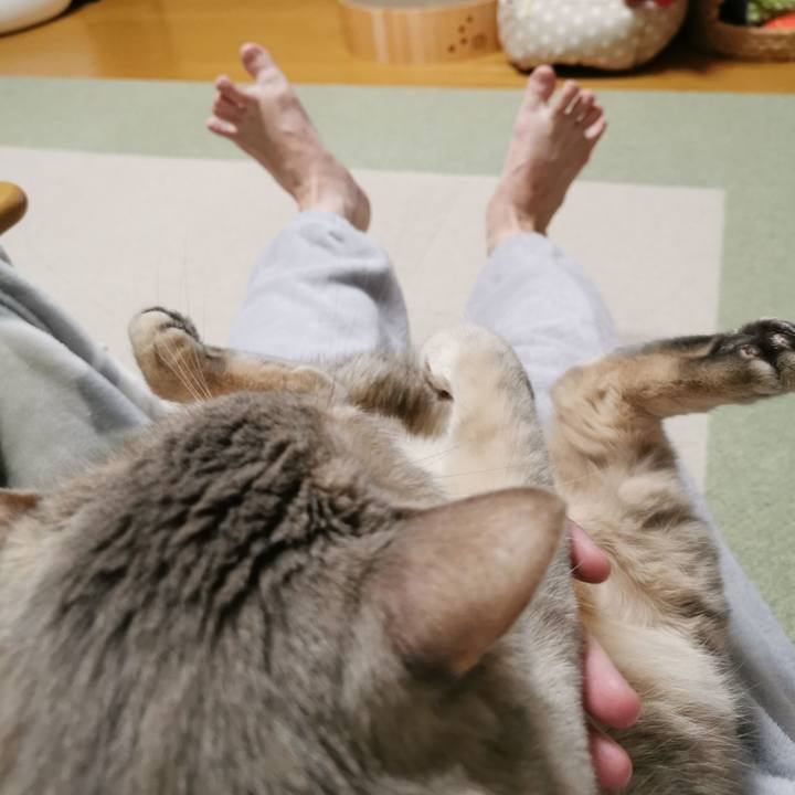 D7ddd3d8 da5e 4da7 b02f 4495c4e23565 1670300886155