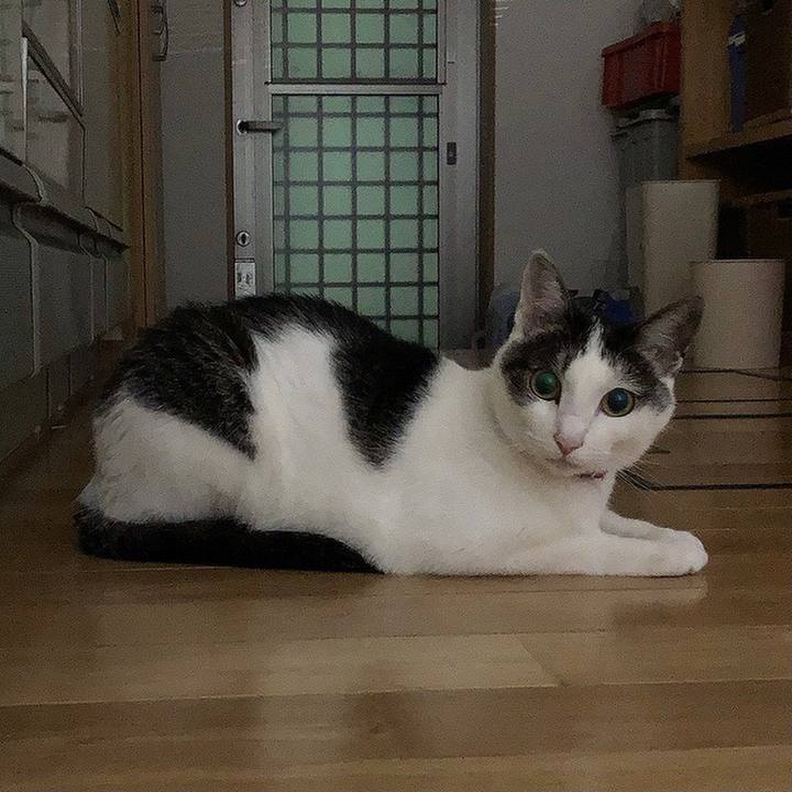 D7ddd4d8 54d3 4842 a9cb ef261d087c5b 1656774510690