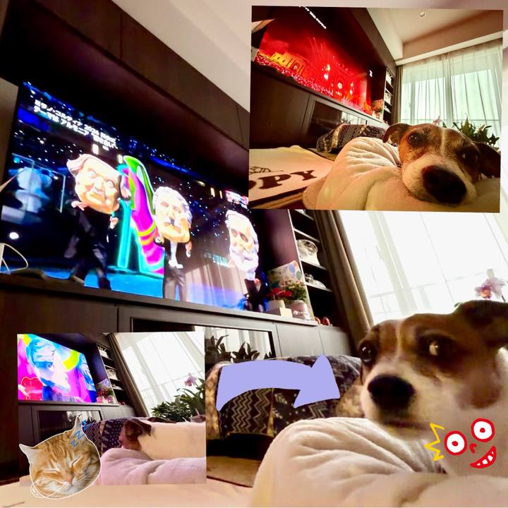 D7dde533 4ff3 459b a41a c93084375a18 1770418250267