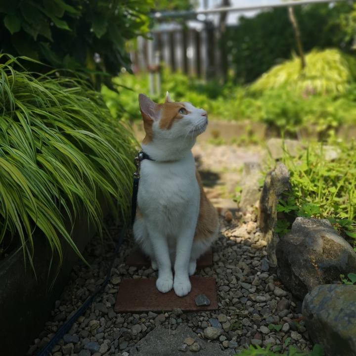 D7dde56e b38f 4c79 9427 3aad162a7c33 1559375018117