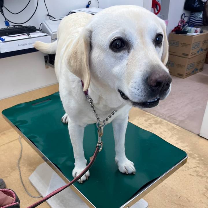 D7ddecd5 8013 41af be7a 5c3c6af1089c 1714399844577