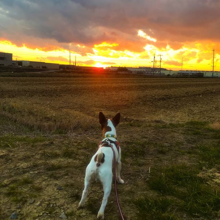 D7de0a26 5596 4823 90bd 10a0b5a2c09a 1512986808109