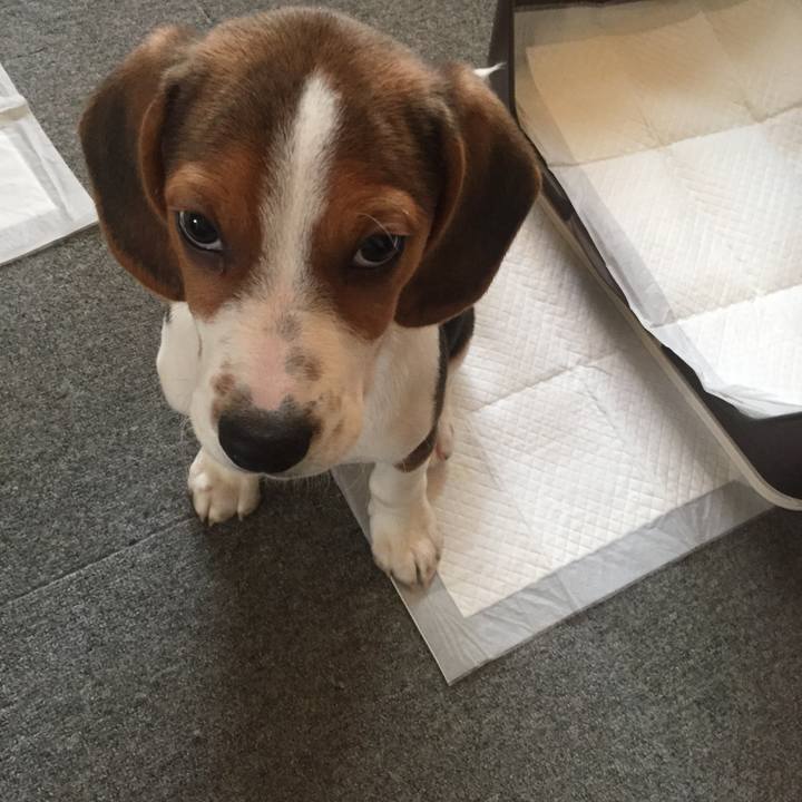 D7de365e 569e 4755 8ace b52dba2fe177 1514424608838