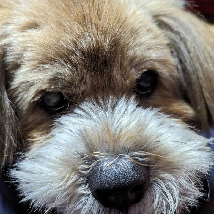 D7de52b3 991e 437a 8070 edc9917743d6 1705487626392