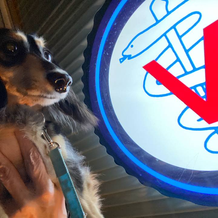 D7de6fbf dd8e 41e3 8275 765950a6e908 1733463148250