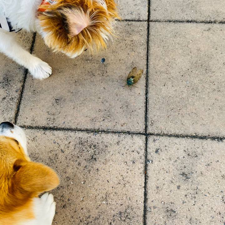 D7de80c9 5c61 4fb5 869d 281021bce68d 1628554730858