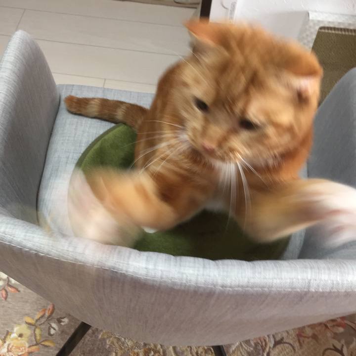 D7de9c9e d009 4809 9644 d8e1238e65e1 1581128347682