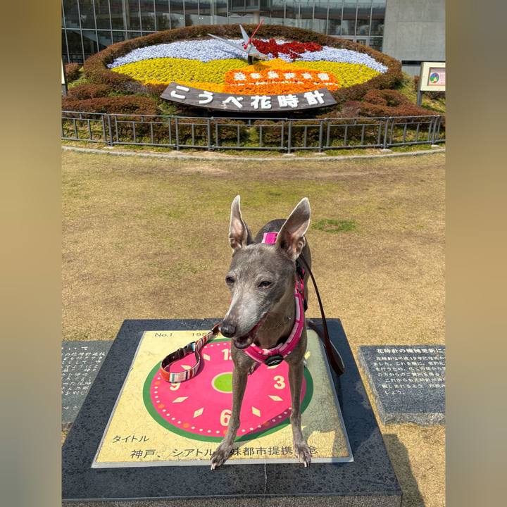 D7dec4c6 db90 4de3 8b9d 2ecc2e960017 1776338245562