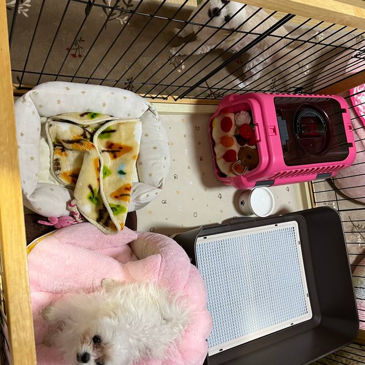 D7def406 1436 4fbf af30 eceadbea1bbd 1710502213878