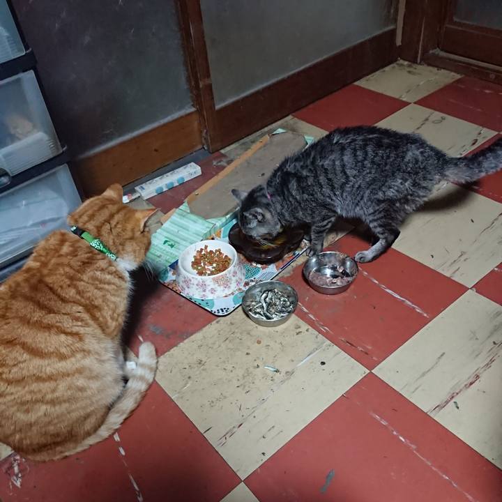 D7df0827 a81c 4123 9303 3f2775b8b962 1580544790684