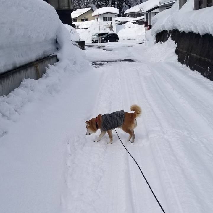 D7df2adc 2870 4c9f bac8 e546d99938c1 1740367278155