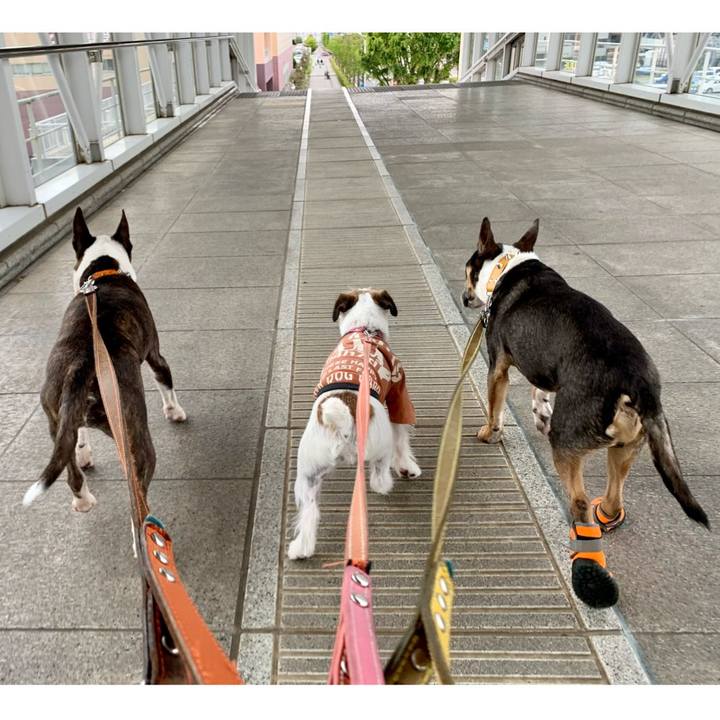 D7df2fc5 04d7 4ac1 8eb4 9fd762c321f5 1619953679080