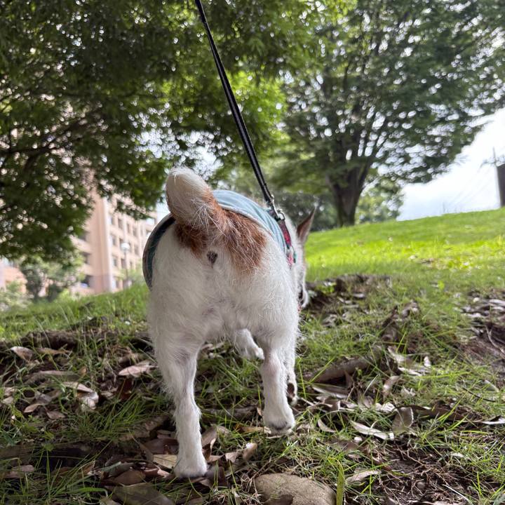 D7df5101 58e2 45f6 a1ed 47c482ce4138 1751763588155