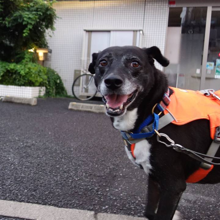 D7df70b9 5258 44db 8732 0de74998b577 1752663345128