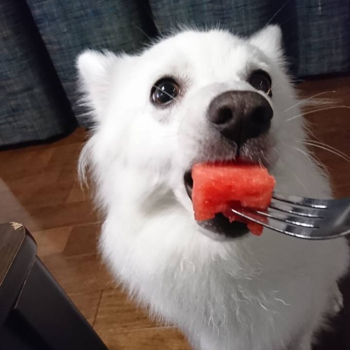 D7df96d5 8cab 44c3 bcc8 f7b6a2471405 1560347009619