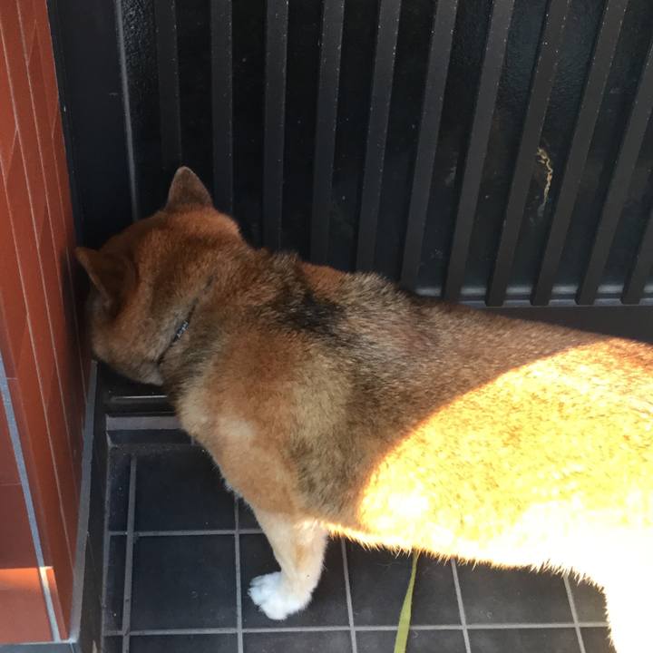 D7dfd4ca ed45 4ba6 9d5e 28a36f0c1968 1623315654028