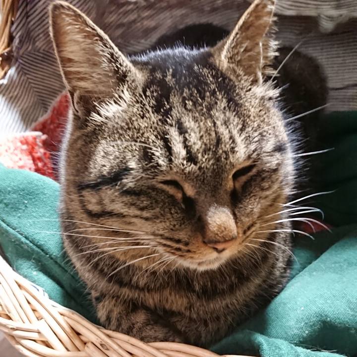 D7dfdf1d 89c6 4b91 84c3 e3244247c77e 1640868353544