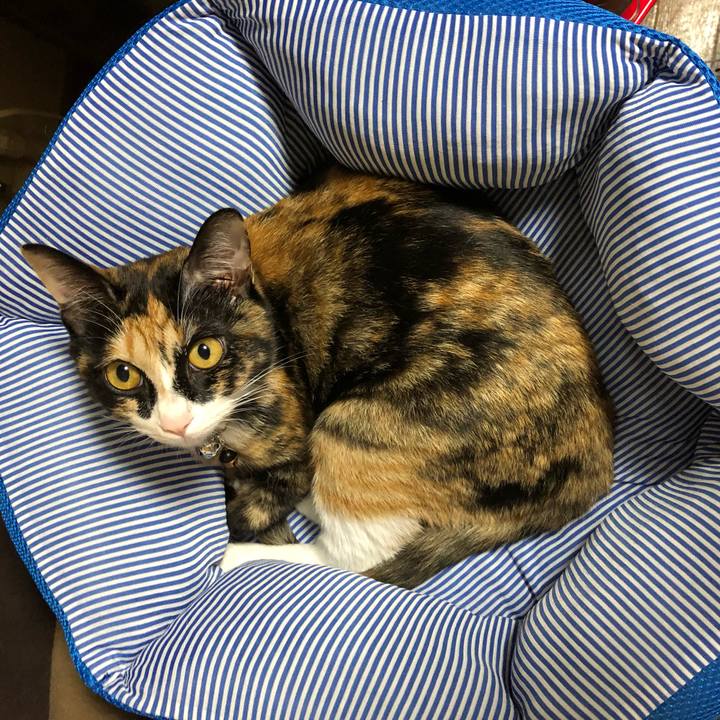 D7dfe01f 6097 4bdb 831f 7b76d3ef3d3b 1562756968201